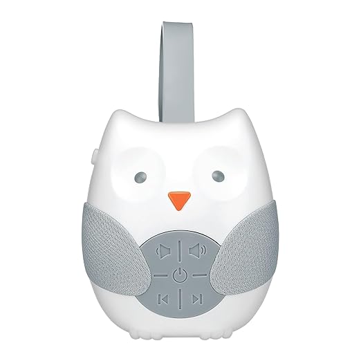 Baby Pop Fidget Toy 6 - 18 Months – Musical Owl Sensory Toy for Babies (White) - Tohibee