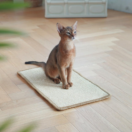 Cat Scratching Mat – Flat Scratch Pad & Resting Mat for Cats - ONOMIE