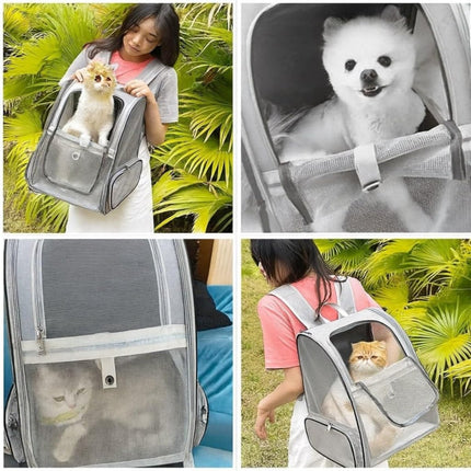 Expandable Cat Backpack Carrier – Breathable Mesh Travel Backpack for Cats & Small Dogs - ONOMIE