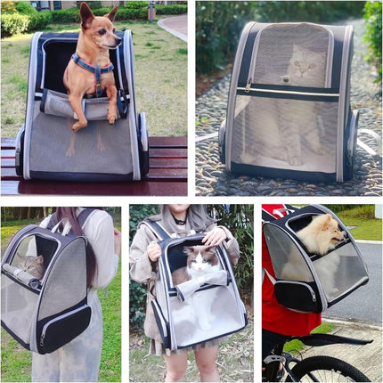 Expandable Cat Backpack Carrier – Breathable Mesh Travel Backpack for Cats & Small Dogs - ONOMIE