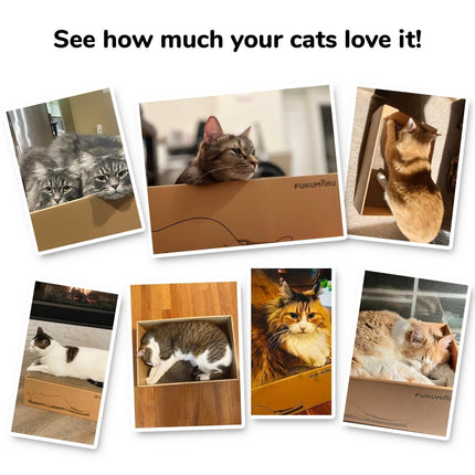 FUKUMARU Cat Scratching Board Box – 5 PCS Reversible Cardboard Scratcher - ONOMIE