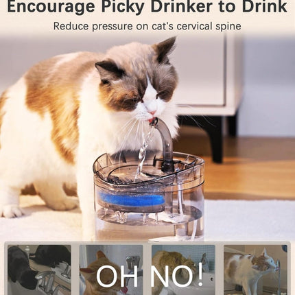 Parner Cat Drinking Fountain, Water Dispenser for Cats with Water Level Window - Parner